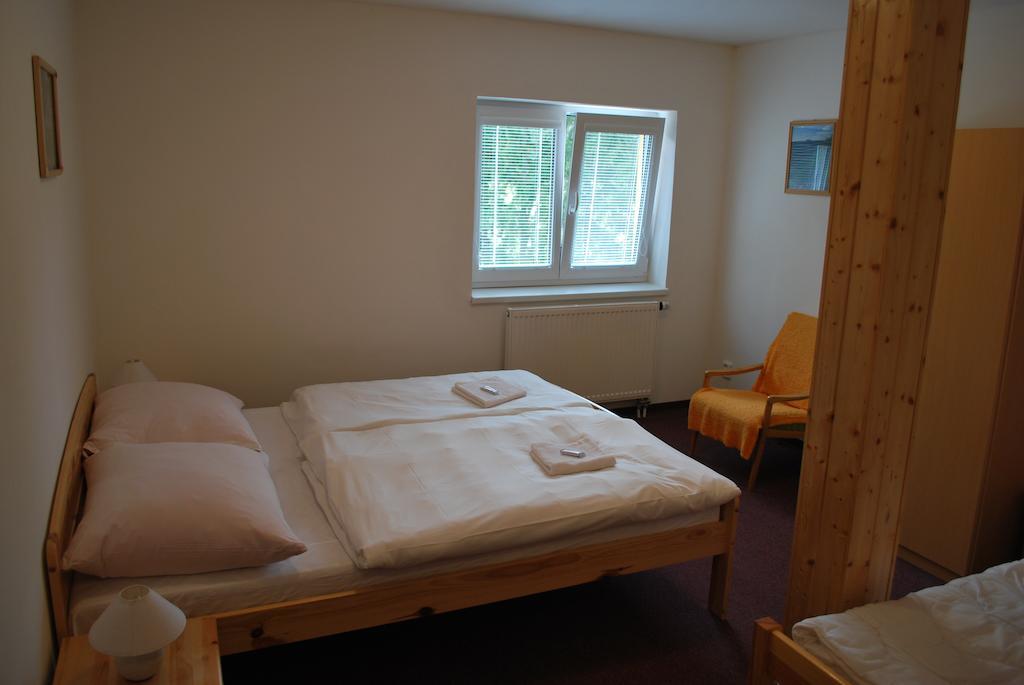 Penzion Pohoda Jetrichovice  Room photo